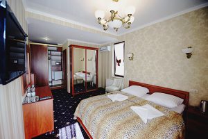 отели Трускавца отель Афродита 011