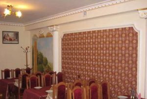 Treatment and rest at Villa Lydia in Truskavets 02