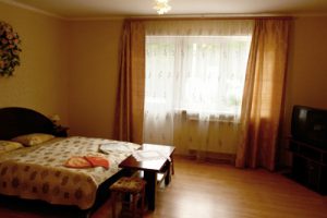 Treatment and rest at Villa Lydia in Truskavets 02