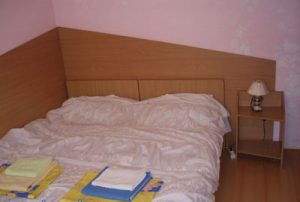 Treatment and rest at Villa Lydia in Truskavets 02