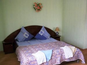 Treatment and rest at Villa Lydia in Truskavets 02