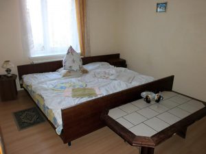 Treatment and rest at Villa Lydia in Truskavets 02
