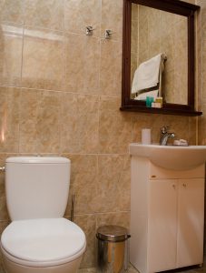 Hotelʹ Naftusya u Truskavtsi