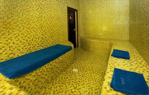 motels and hotels for treatment in Truskavets hotel Sani 04
