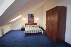 motels and hotels for treatment in Truskavets hotel Sani 07