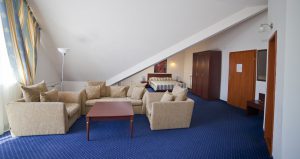 motels and hotels for treatment in Truskavets hotel Sani 07