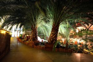 Sanatorium Park Health treatment and rest in Truskavets | Prices, photos, reservations 06