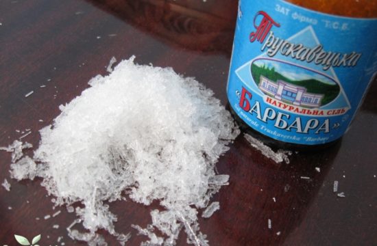 vidpochynok ta likuvannya u Truskavtsi