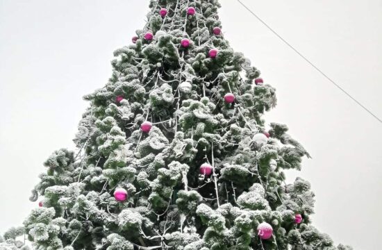 -Truskavets-for-christmas