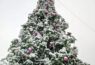 -Truskavets-for-christmas